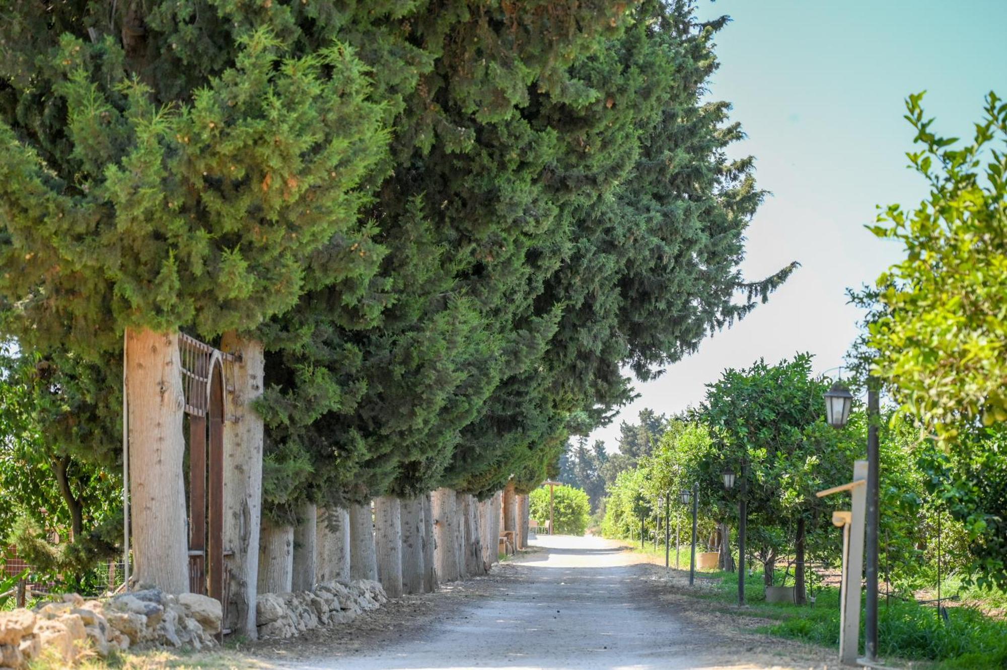 Agriturismo Torre Vendicari โนโต ภายนอก รูปภาพ